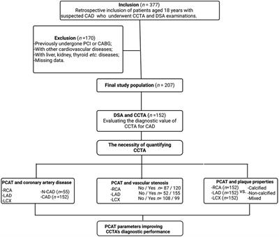 Evaluating the role of pericoronary adipose tissue on coronary artery disease: insights from CCTA on risk assessment, vascular stenosis, and plaque characteristics